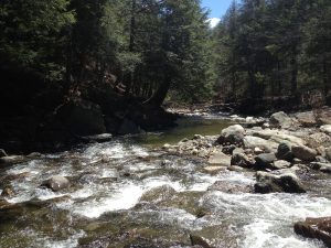 West Branch Riffles