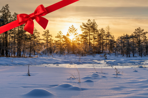 Gift Land Website