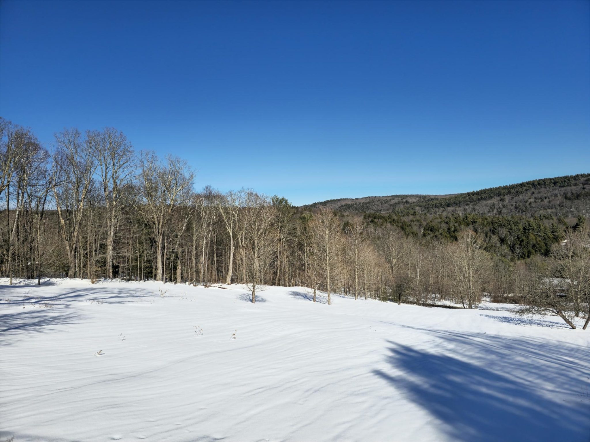 view_wide