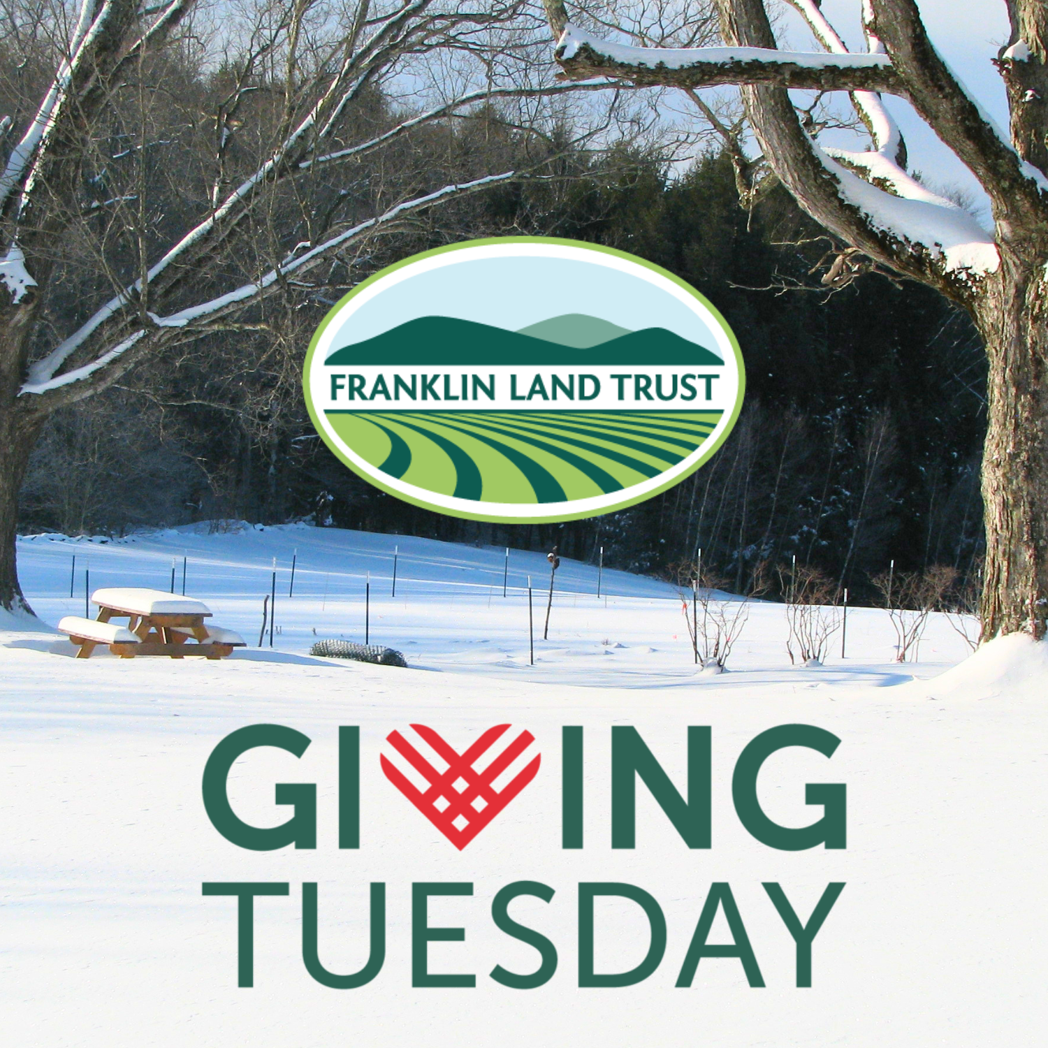 giving tuesday event image